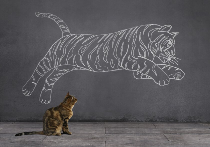 Eine Katze sitzt auf Holzboden und blickt auf einen springenden Tiger, der mit Kreide an der Wand skizziert ist.