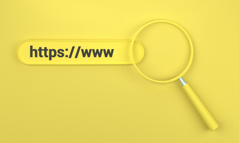 Browserleiste mit URL Bestandteil und Lupenglas als Sinnbild Webseitensuche 